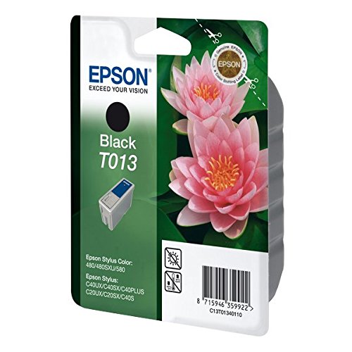 Epson T013 Cartouche d'encre d'origine 1 x noir 300 pages