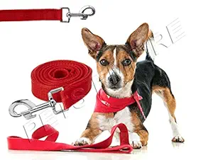 Pets Empire Pet Durable Classic Solid Color Dog Lead 155 cm x 2.5cm in Rouge Red, Large Basic Nylon Leads for Dogs 1 Piece Color May Vary