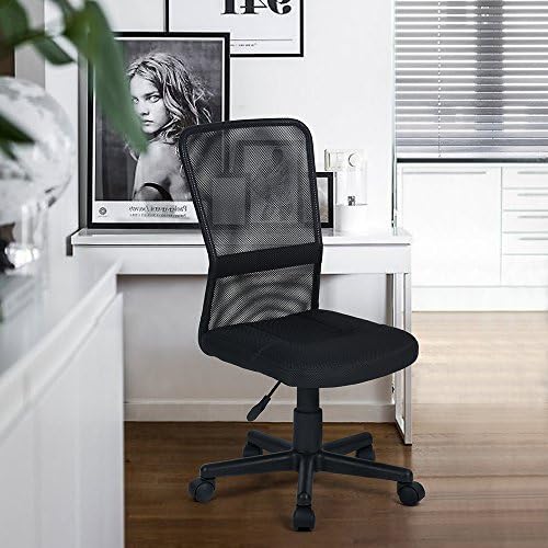 Fanilife Office Chair Mesh Back Armless Computer Chair Adjustable Swivel Meeting Room Chair Black