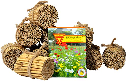 Luxus-Insektenhotels 22690e Schilfrohrhalme Set plus Samenmischung „Bienenparadies“, 35 Sorten, circa 1000 Stück, 9 cm lang - 4