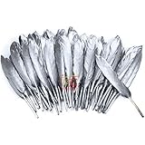 Natural Metallic Dyed Goose Feather 4-6 inch (10-Pieces) (Silver)