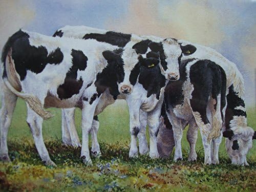 Farm Scene Cattle Fresian Birthday Card