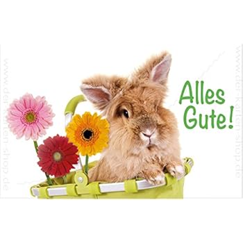 A6 Geburtstagskarte Postkarte Geburtstag Print Hase Hschen A6 Geburtstagskarte Postkarte Geburtstag Print Hase Hschen