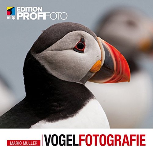 Preisvergleich Produktbild Vogelfotografie (mitp Edition ProfiFoto)
