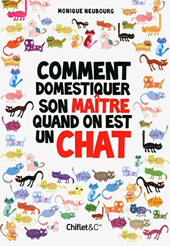 COMMENT DOMESTIQUER SON MAITRE QUAND ON EST CHAT COMMENT DOMESTIQUER SON MAITRE QUAND ON EST CHAT