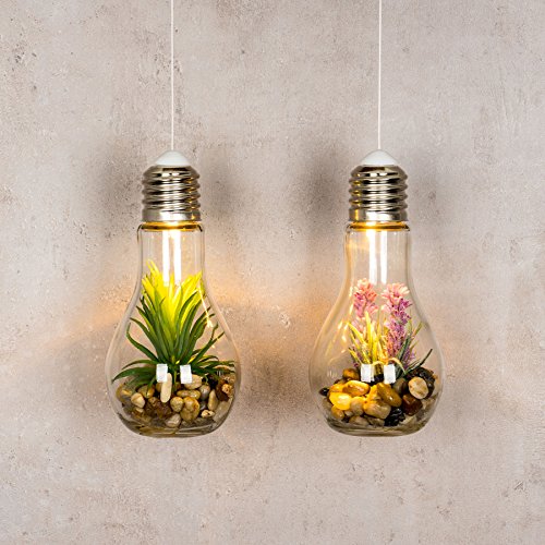2er Set Sukkulenten LED Glühbirne Glas B x H: 8x19cm Deko Lampe Kunstpflanze Grün Rosa Hängelampe - 4