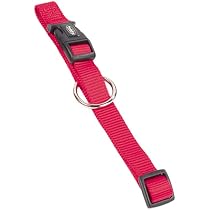 Nobby Halsband Classic Preno EXTRA Für Große Hunde – Schwarz, 32-45 Cm, 38/40 Mm Breit, Mit Neopren