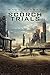 Produktbild empireposter - Maze Runner  - 2 The Scorch Trials - Größe (cm), ca. 61x91,5 - Poster, NEU -