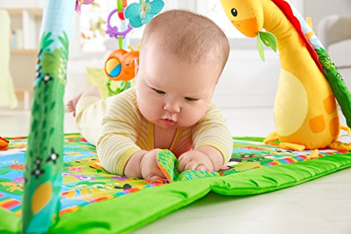 Mattel Fisher-Price DFP08 Rainforest Erlebnisdecke mit farbenfrohen Motiven - 6