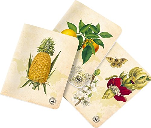 Preisvergleich Produktbild Kew Gardens - Mini-Notizhefte: Set mit 3 Motiven