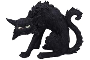 Nemesis Now Figura Familiar de Brujas de Gato Negro, 23,5 cm, Resina sintética, 23.5cm