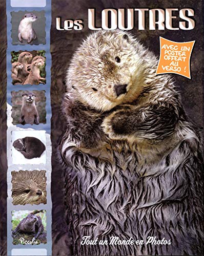 couverture de : Les loutres