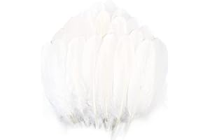 TYEQWT 400 Pcs Feathers for Crafts, Ideal for Wedding Ornament, Feather Mask Making, DIY Feather Boa, Dream Catcher Decoration, Coloured Feathers (White)