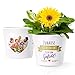 Produktbild Wohnungseinweihung Geschenk Blumentopf (ø16cm) | Deko Geschenke zum Hauseinzug, Einweihung einer Wohnung oder Haus mit Bilderrahmen für 2 Fotos (10x15cm) | Zuhause ist kein Ort - Es ist ein Gefühl!