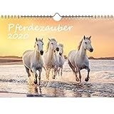 Pferdezauber DIN A4 Kalender 2020 Pferde und Fohlen - Seelenzauber by