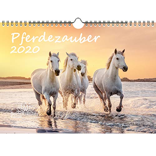 Pferdezauber DIN A4 Kalender 2020 Pferde und Fohlen - Seelenzauber