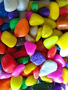 Creative Farmer 10Kg Gems and Crafts Multi-Color Home, Garden and Aquarium Decor Pebbles Small Pebbles for?Succulents & Multi Purpose Pack