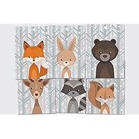 "'Postkarten-Set Waldtiere" Grußkarten