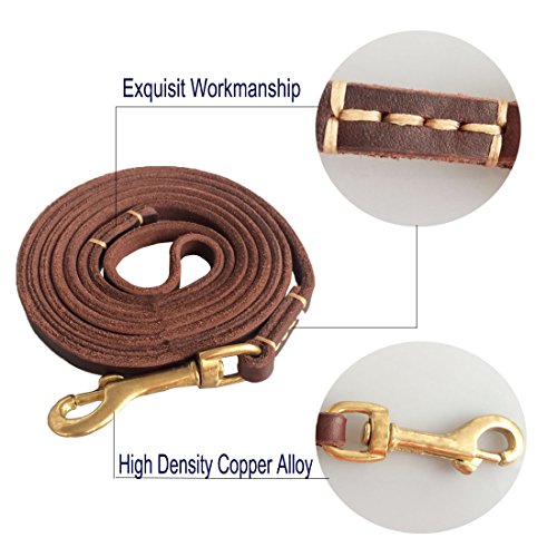 Fairwin-Leather-Dog-Lead-15M2M-Best-Dog-Training-Leash-Heavy-Duty-for-Large-Medium-Small-Dogs