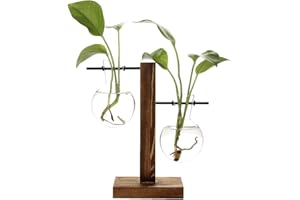 belupai Hydroponic Plant Vases Vintage Flower Pot Transparent Vase Wooden Frame Glass Tabletop Plants Home Bonsai Decor Drop Shipping (B - 2 Bulb Vase)