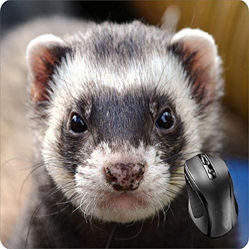 Preisvergleich Produktbild BGLKCS