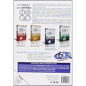 Pagine del diritto. Diritto pubblico. Con espansione online. Per gli Ist. tecnici e p
