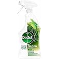 Dettol Tru Clean Surface Lime & Lemongrass