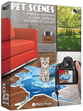 Box 51 PP3509 Pet Scenes Photo Props (Medium)