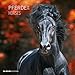 Produktbild Pferde 2018 - Horses - Broschürenkalender (30 x 60 geöffnet) - Tierkalender - Wandplaner