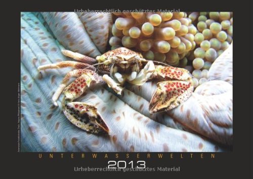 Download Unterwasserwelten 2013 Download Unterwasserwelten 2013
