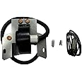 ENGINERUN 398593 Ignition Coil Module Magneto for Briggs & Stratton 3HP Engines 793281, 793352, 792594, 395489, 398593 496914