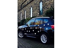 SMAGNON AUSWAHLANGEBOT Magnetherzen Magnetherz Hochzeits Schuck Valentinstag Magnetische Herzen in Rot Weiß Matt - Glänzend Schwarz selbstklebend (10 Stück, Weiß Glänzend)