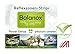Produktbild Balanox Reflexzonen-Strips Reisepackung | Detox Fuß-Pflaster mit 2fach Wirkung | Vegan | 4 Reflexzonen-Strips + Karte mit 28 Fußreflexzonen