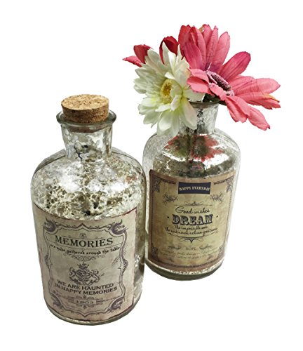 2er Set Glasflasche Antik „Dream & Memories“ H: 16cm- als Vasen Set, Tischdeko etc. - 2