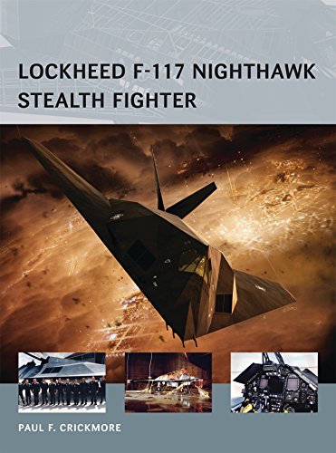 Lockheed F-117 Nighthawk Stealth Fighter (Air Vanguard, Band 16)