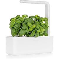 Click and Grow | Più facile di Serra idroponica | Cialde Smart Garden per Piante di Issopo, confezione da 3 pezzi | Intellige