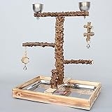 Myyxt Papageien Spielzeug Swing Übung mit Glocken Vogel...