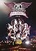 Rocks Donington 2014 [DVD + 3LP]