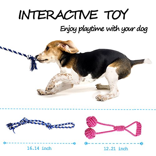 Lobeve-Dog-Chew-Toys-5-Pack-Gift-Set-Durable-puppy-Rope-Toy-Small-Set
