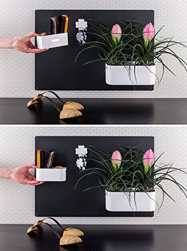 KalaMitica Magnetischer Kleiner Kasten, 2 Blumentöpfe Ø 6 cm, Weiß - 5