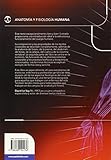 Image de Anatomia y Fisiología Humana (Medicina)