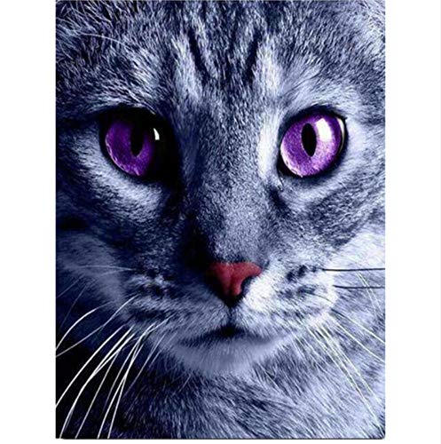 MYLOOO 3D Full Round 5D Pittura Diamante DIY Red Nose Cat Pittura Diamante 3D Rhinestones Pittura Diamante Ricamo Decor 40X60Cm