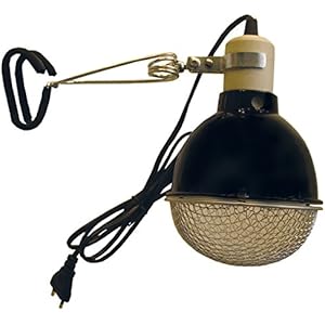 Namiba Terra 1796 Protector Clamp Lamp