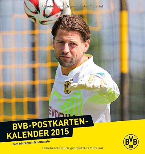 Borussia Dortmund Postkartenkalender 2015