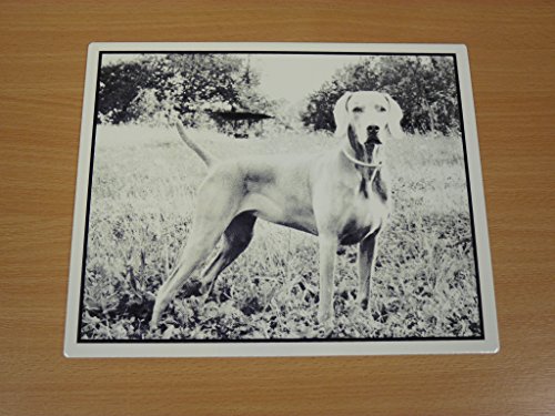 Pet-DogCat-Photo-Memorial-Enamel-Plaque-Personalised-With-Your-Picture-Text