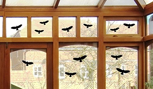 12 Vogel Aufkleber - Vögel Fenster Glas Greifvogel Fensterbild B416 (schwarz)