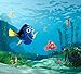 Produktbild 1art1 99011 Findet Dorie - Nemo Foto-Gardine 180 x 160 cm