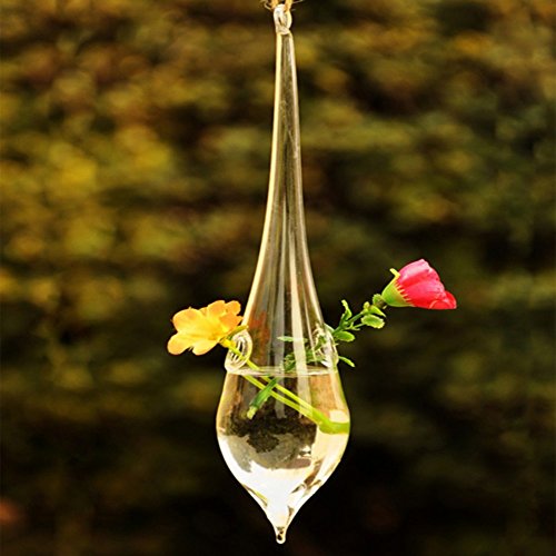 Kungfull Mall Wasser Tropfen Form hängender Glas Vase Hydrokultur Pflanzen Garten Blumentopf