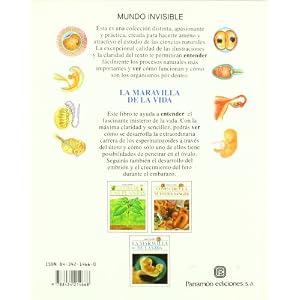 LA Maravilla De LA Vida