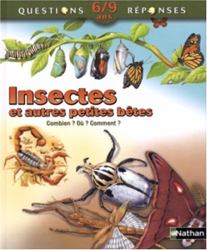 couverture de : Insectes et autres petites b&ecirc;tes